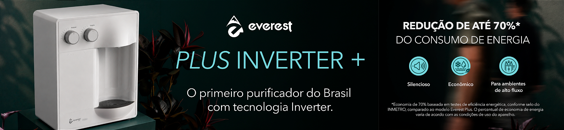 plus inverter