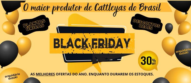banner black friday
