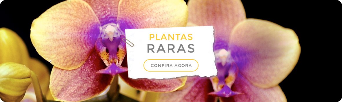 PlantasRaras