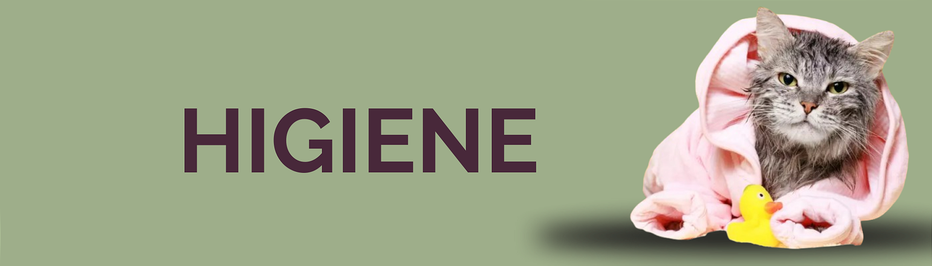 higiene