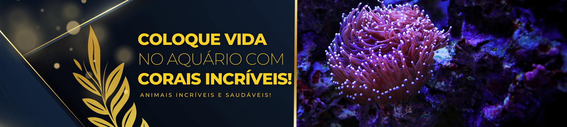 CORAIS