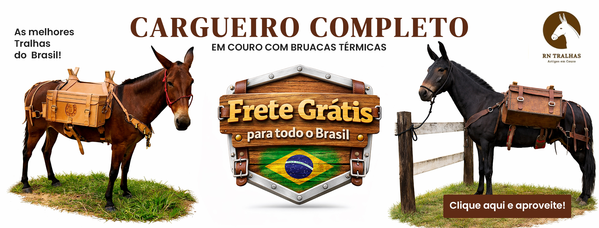 PROMOÇÃO CARGUEIRO