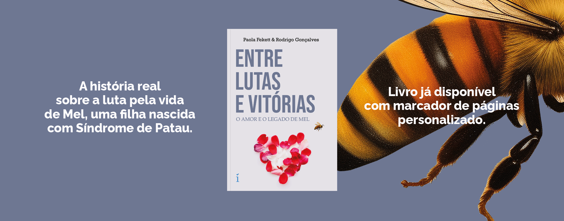 Entre lutas e vitórias