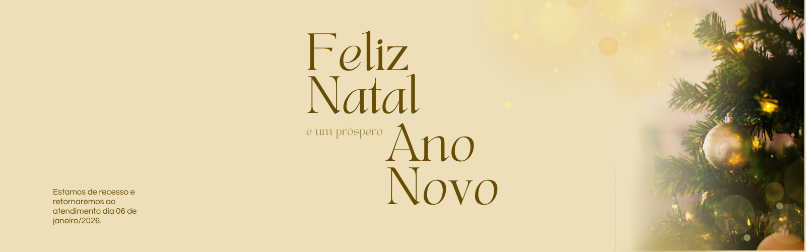 FELIZ NATAL E ANO NOVO