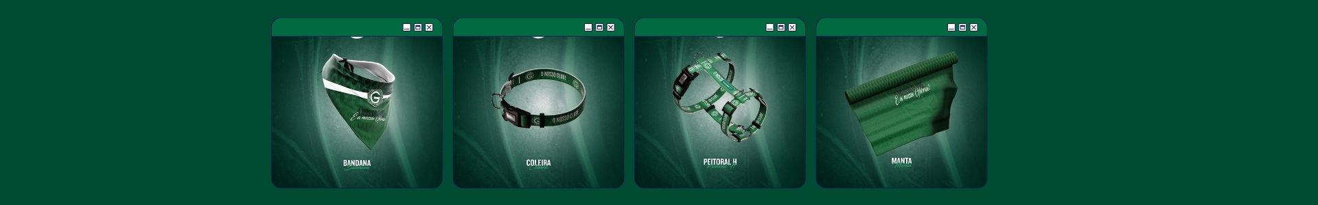 Banner Goias