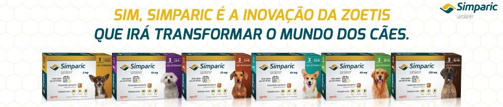 teste