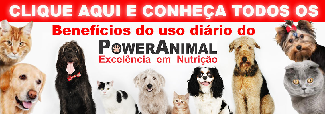 conheça os 16 benefícios de Power Dog para seu animal de estimação