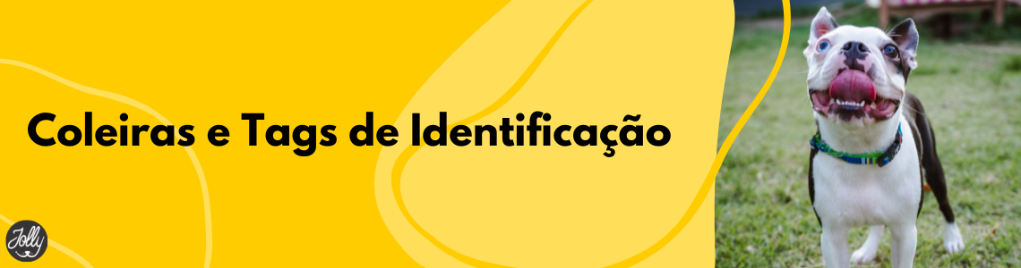Coleiras e Tags