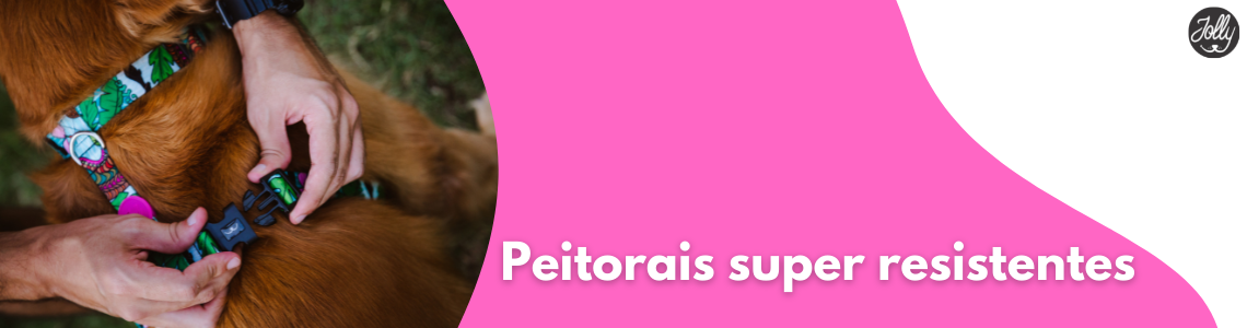 Peitorais