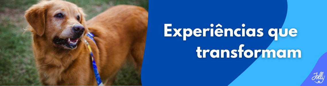 Experiências que transformam