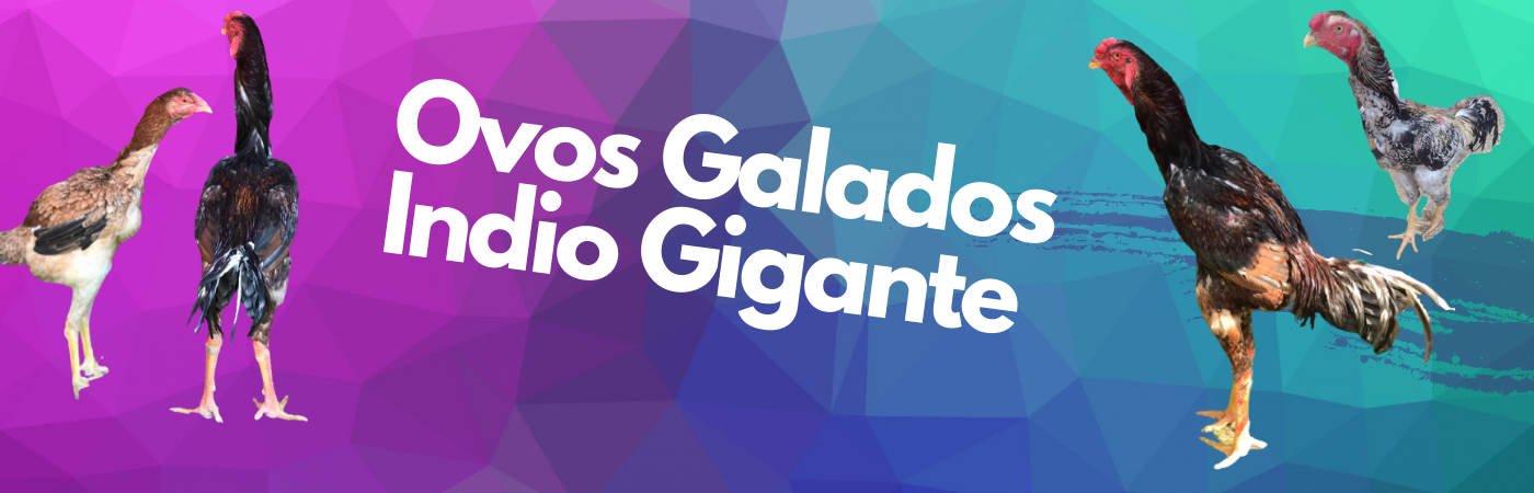 Indio Gigante