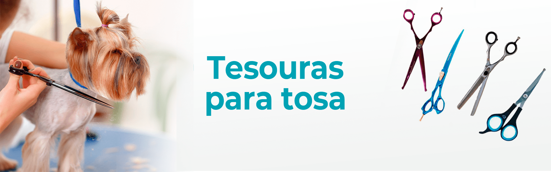 Tesouras - categoria @Desktop