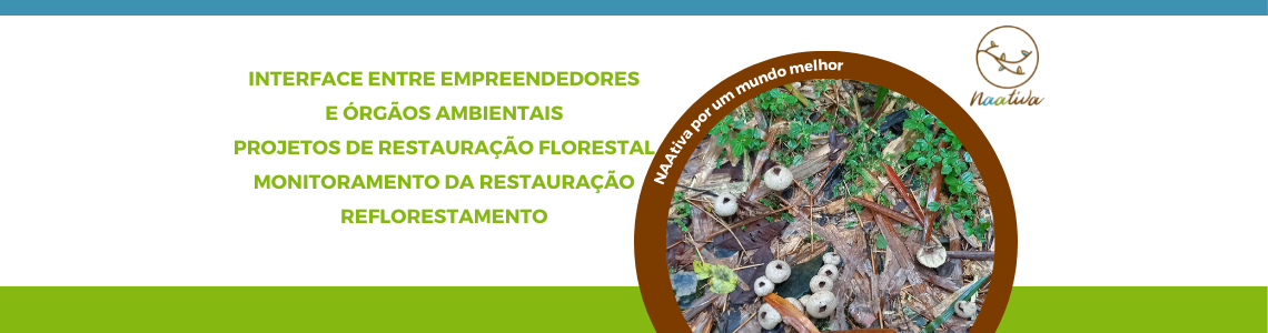 Consultoria Ambiental 1