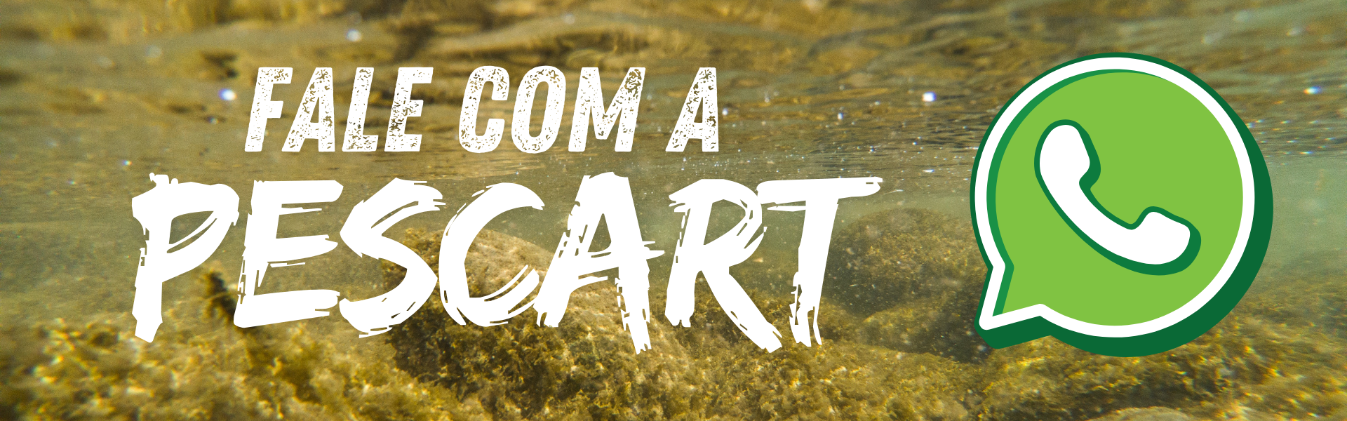 FALE COM A PESCART WHATS