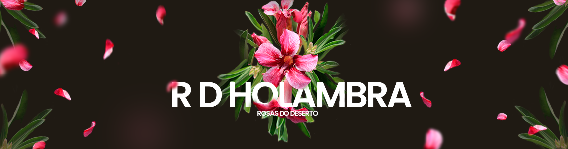 Banner Sobre