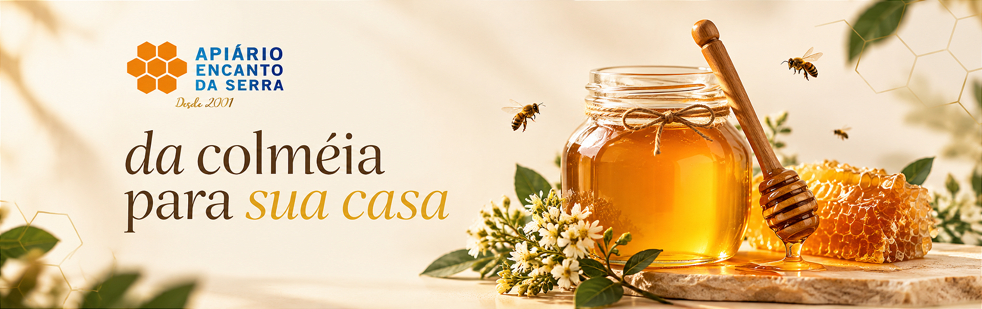 Colmeia Para Casa