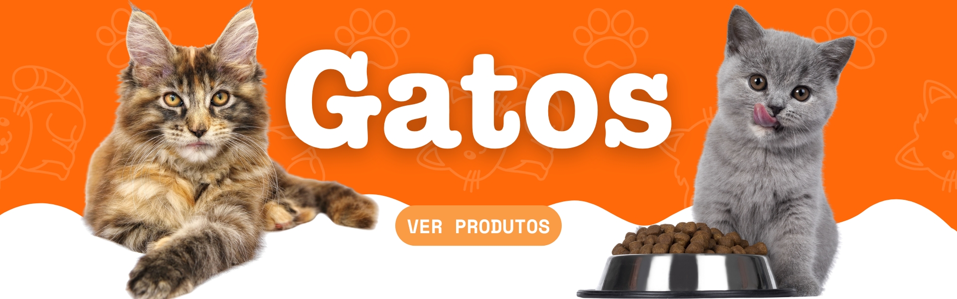 Ração para Gato