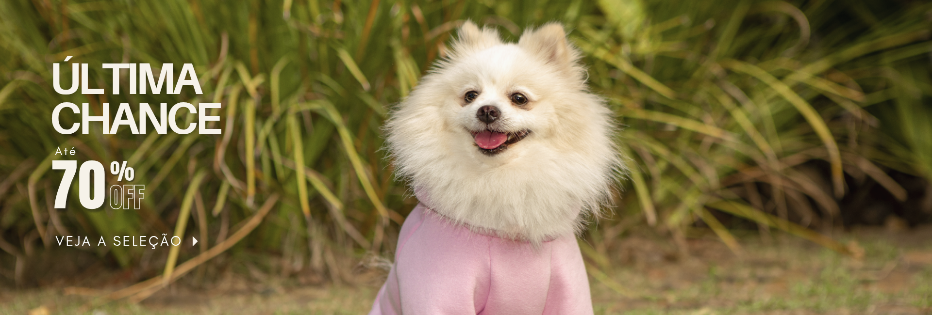 Especial do Consumidor