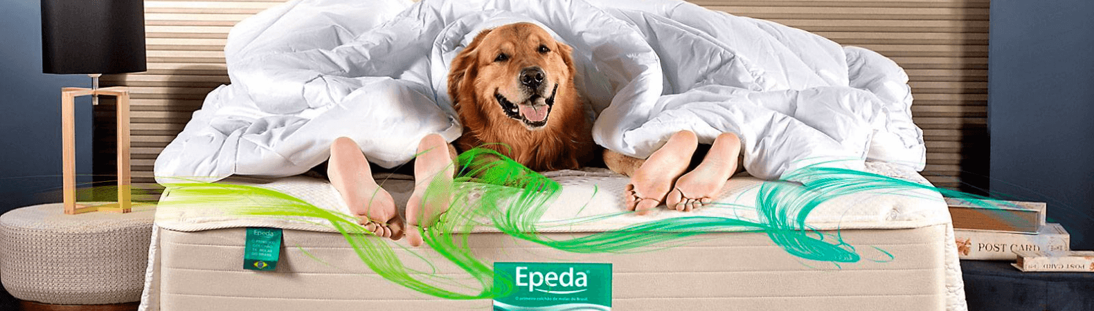 Epeda