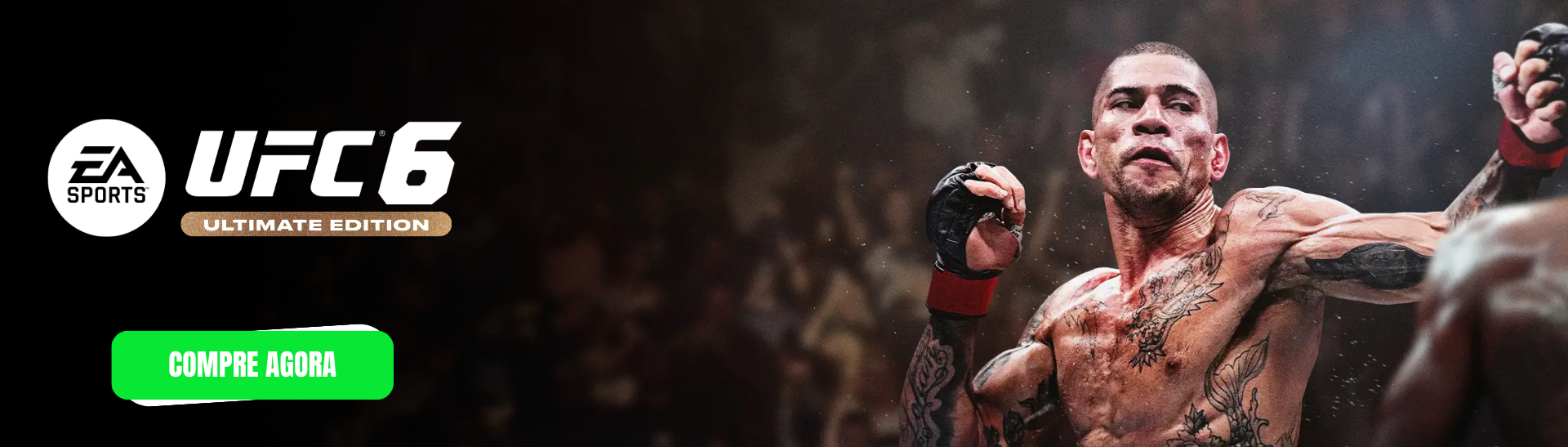Full Banner UFC 6