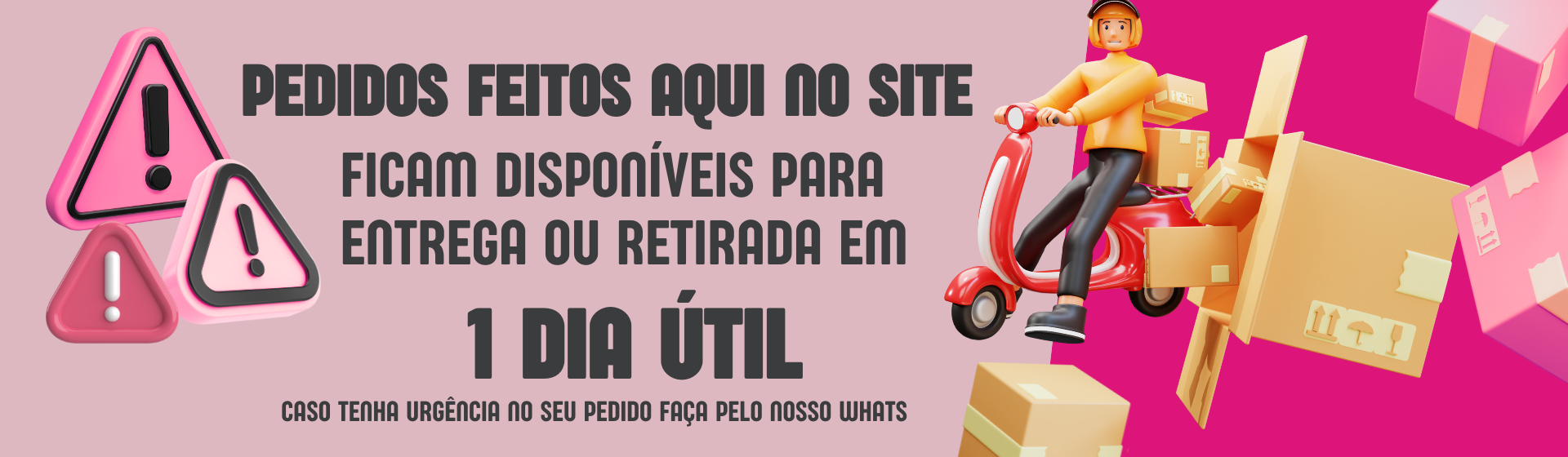 Pedido 1 dia útil