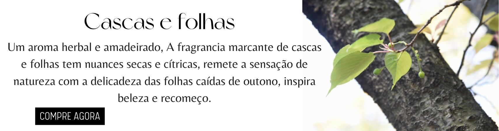 Cascas e folhas