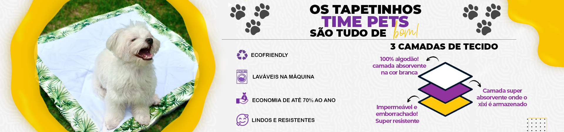 Full_Banner_Info_Tapete @Desktop