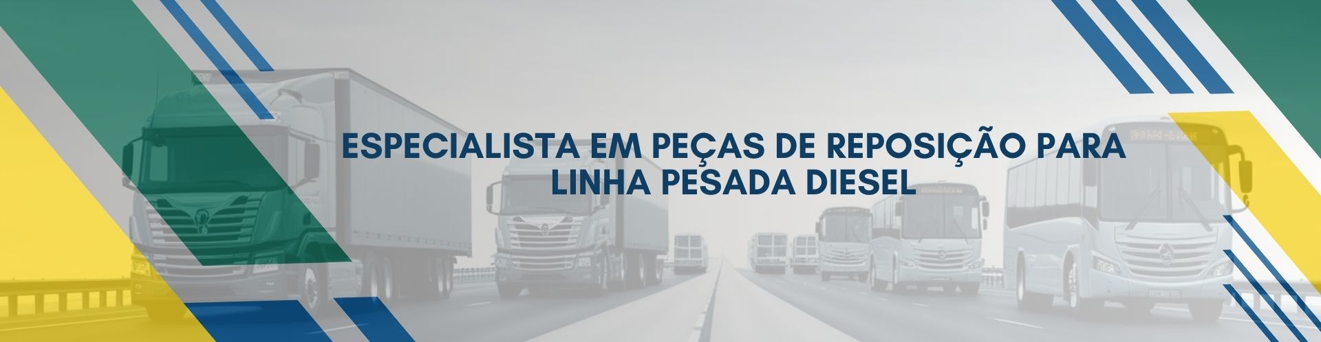 full banner novo 2024