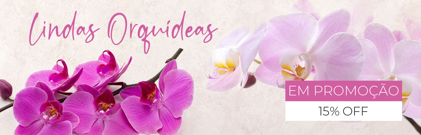 Orquideas promoção 15%