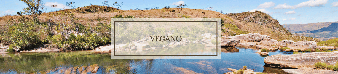 VeganoFullBanner