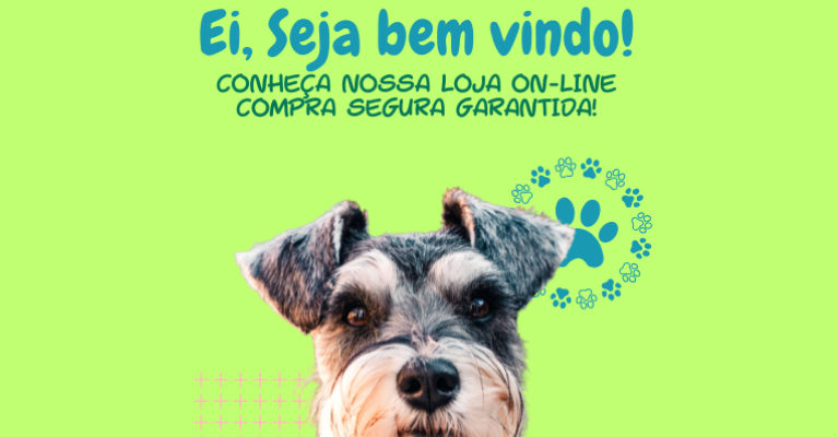 Seja  Bem Vindo 767x400