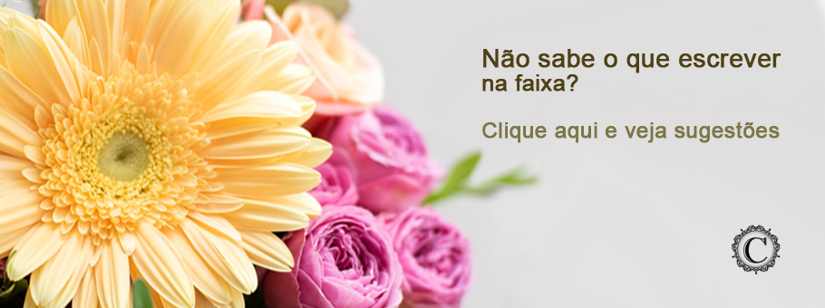 Msgs Sugestoes