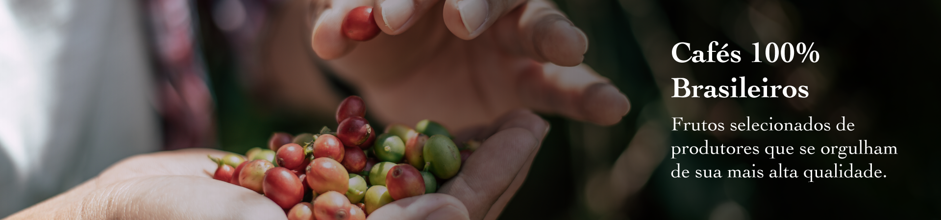 Cafes 100% brasileiros 2026