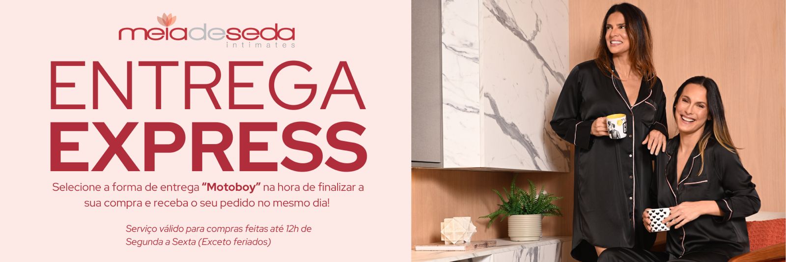 Banner Entrega Express @desktop