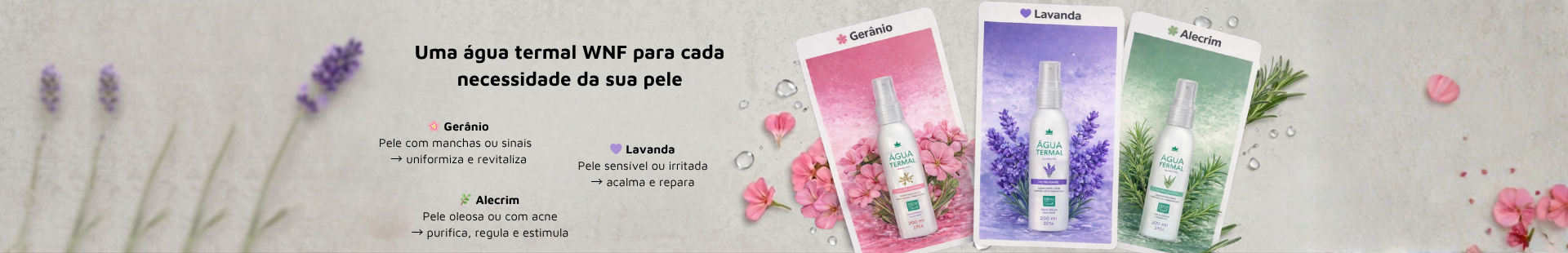 WNF Águas Termais FULL