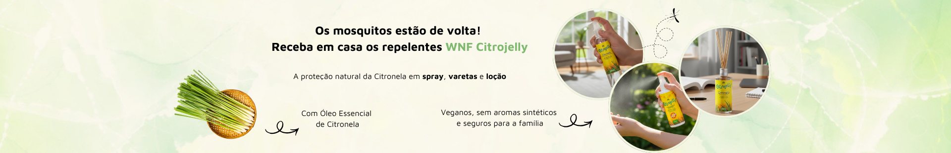 WNF CITROJELLY 2026 FULL