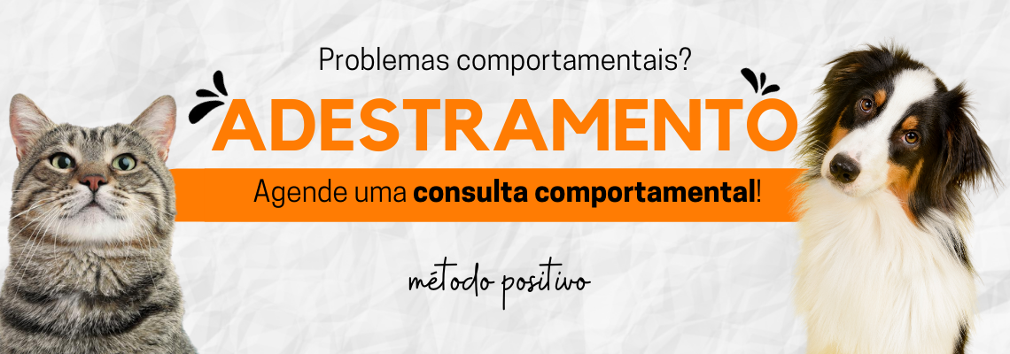 Banner - Consulta Comportamental