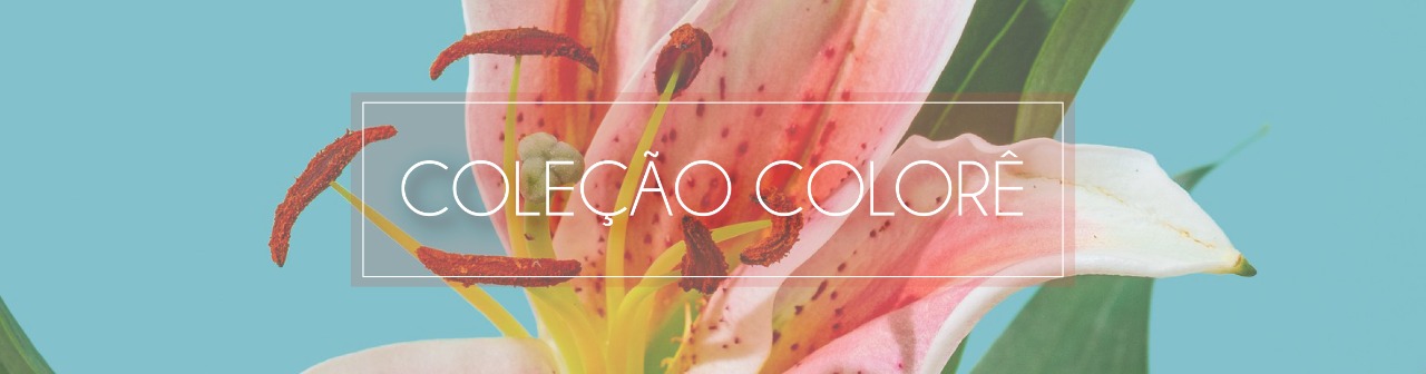 Coleção Colore