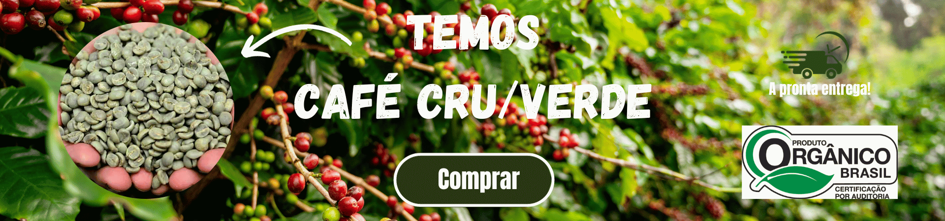 cafe cru