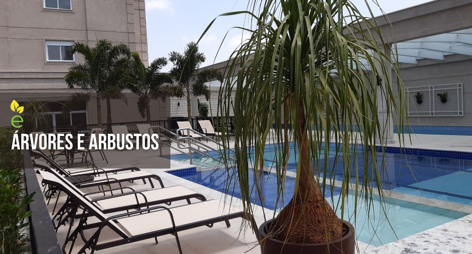 árvores e arbustos