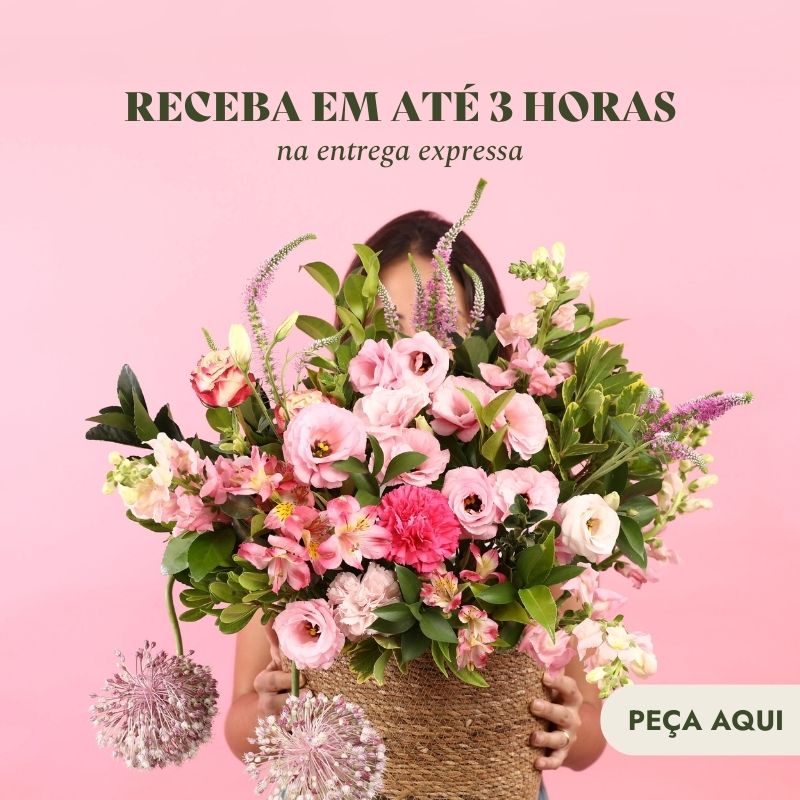 Entrega Expressa - Mobile