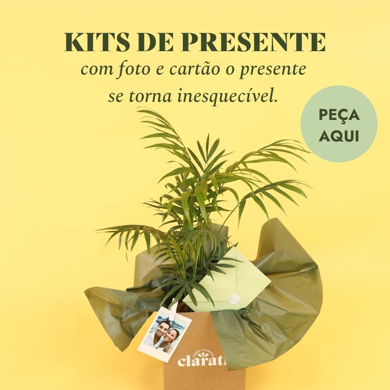 Kit Presente - Mobile