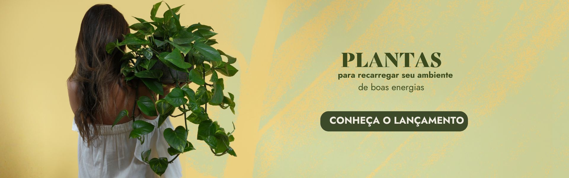 Plantas Atualizado
