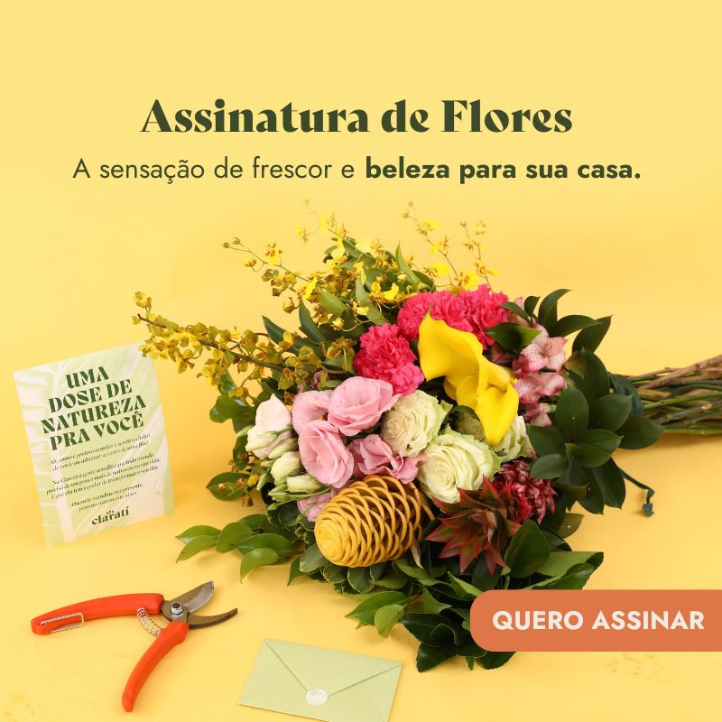 Assinatura de Flores Principal - Mobile