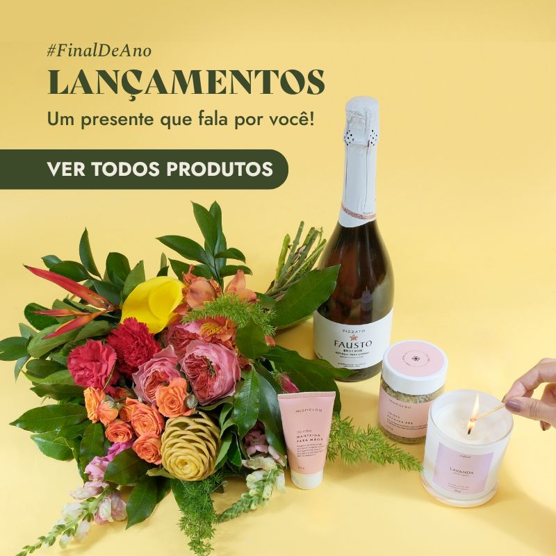 Lançamento 2025 - Mobile