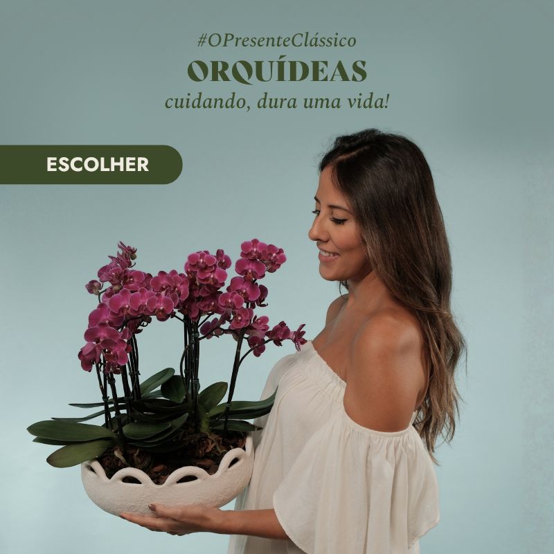 Orquideas Mobile
