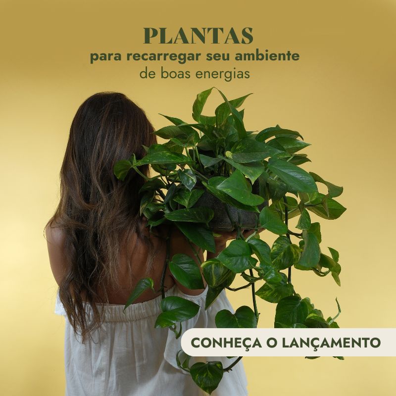 Plantas Atualizado Mobile