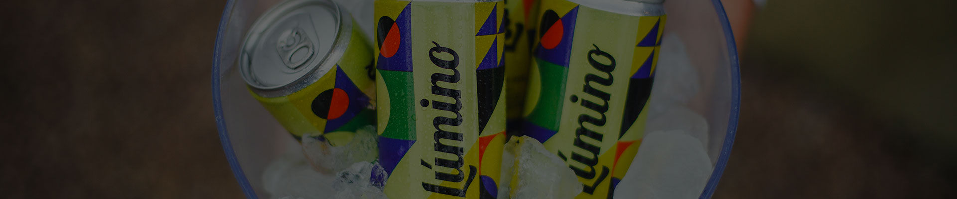 Banner-categorias-festejar