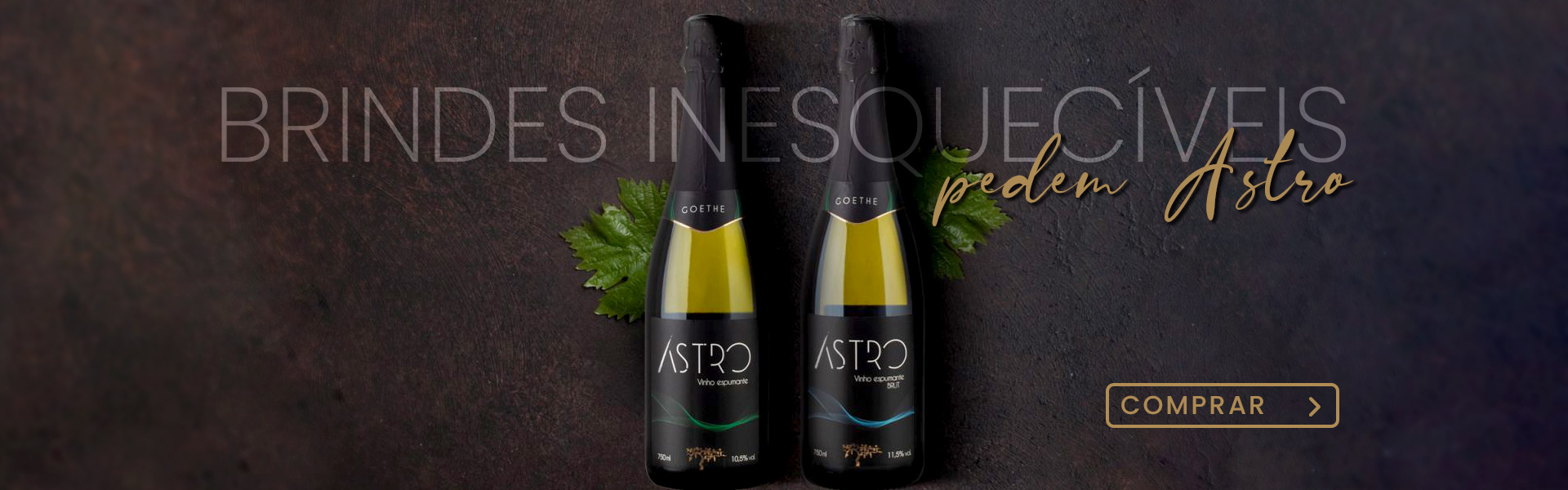 Banner-principal-astro