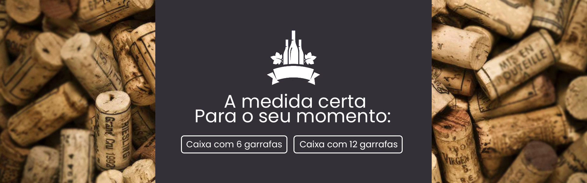 Banner-principal-caixas